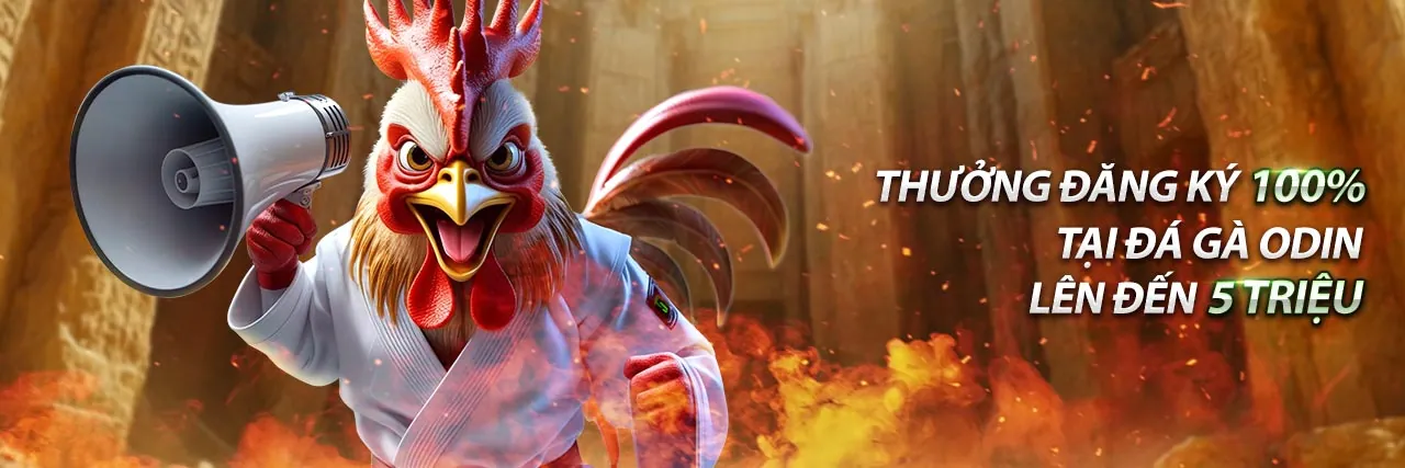 Đá Gà Trực Tuyến Sôi Động tại ax88.ckm